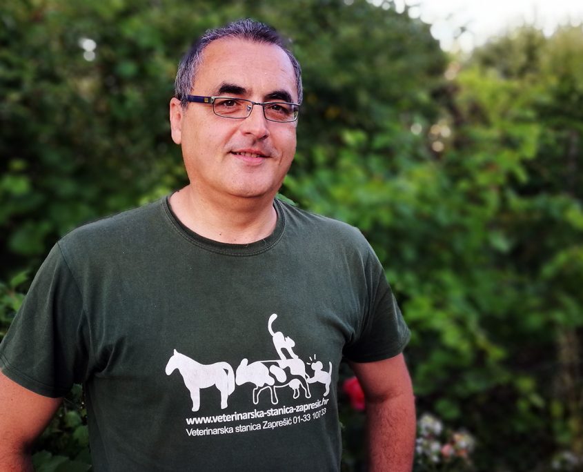 Darko Šanje, DMV